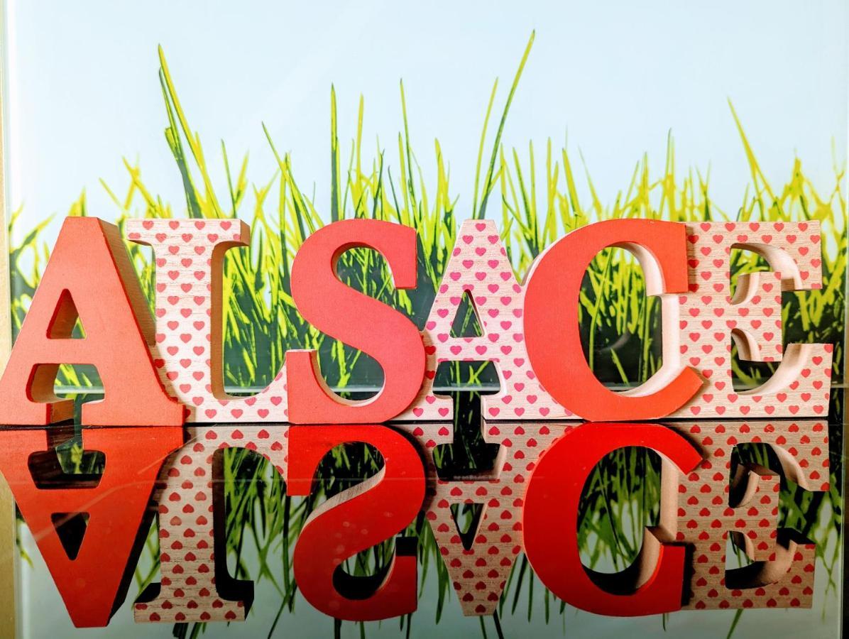 Citycosy-Strasbourg: Boston Espla Luaran gambar